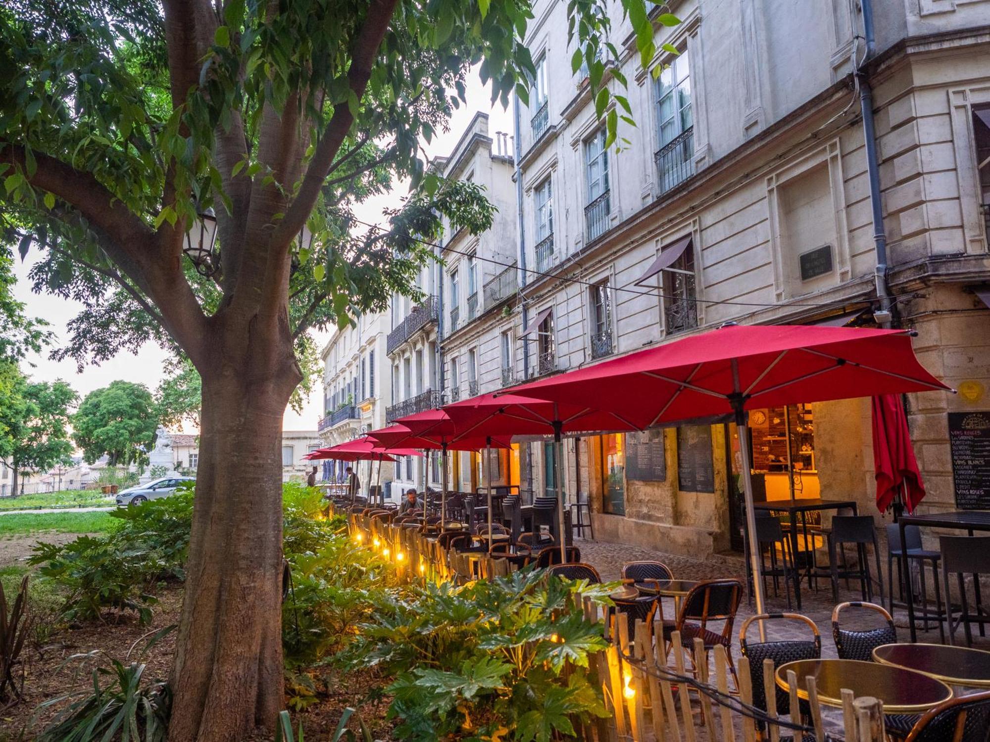Le Platane De La Canourgue Μονπελιέ Εξωτερικό φωτογραφία