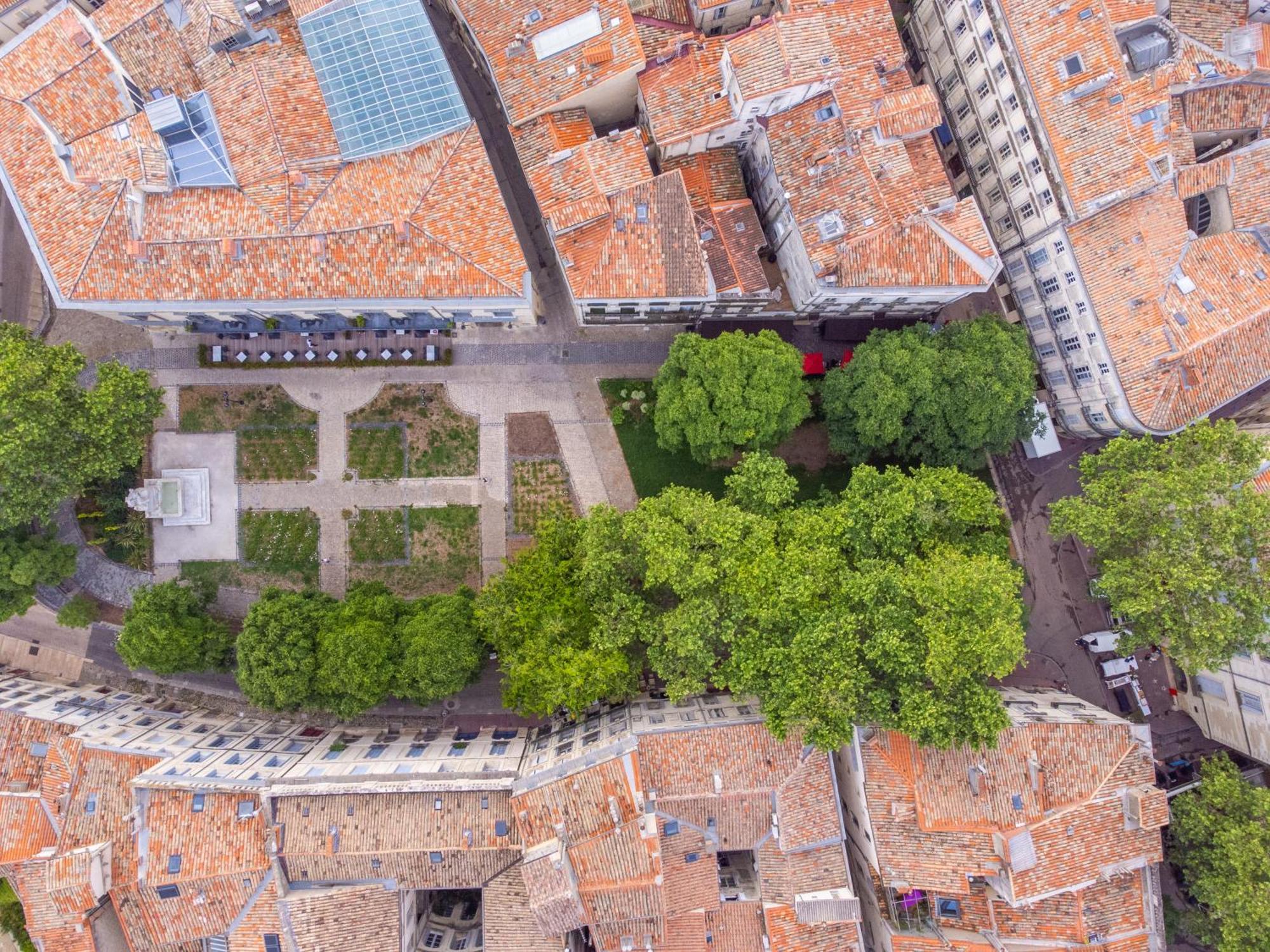 Le Platane De La Canourgue Μονπελιέ Εξωτερικό φωτογραφία