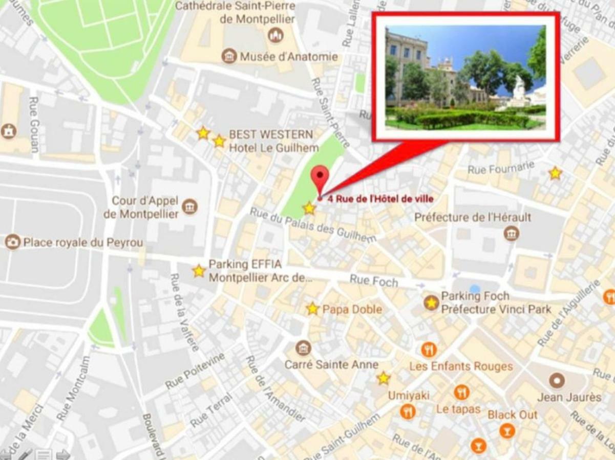 Le Platane De La Canourgue Μονπελιέ Εξωτερικό φωτογραφία